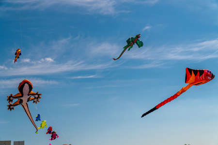 Russia. Kronstadt. June 6, 2021. Aerial flying figures in the form of various animals and fairy-tale creatures over Fort Constantine during the Kronstadt Sail Festival.のeditorial素材