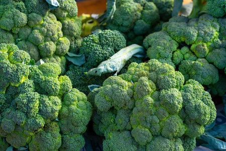 Fresh green broccoli on display at farmers market, closeup of photo