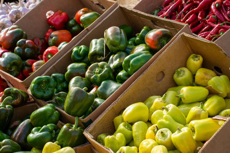 Colorful peppers on display at a farmers market. Vegetables are sold in farmers fair. Healthy local food market.の写真素材