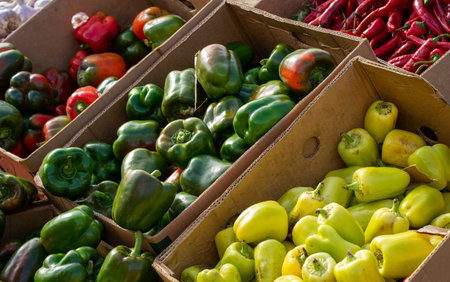 Fresh green and red bell peppers at the farmers market. Selective focus. Provence, France. Vegetables are sold in mediterranean farmers fair. Healthy local food market.の写真素材