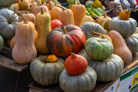 Colorful pumpkins on display at a farmers market. Vegetables are sold in mediterranean farmers fair....