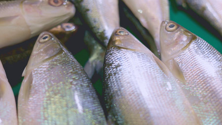 Explore a vibrant fish market showcasing various types of fish, lively atmosphere of fish market filled with array of fresh fish and seafood offerings on display. Vendors present their catchの写真素材
