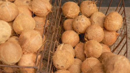 Vendor sorting coconuts by size in stall, coconuts grouped for sales, coconuts reflecting daily...