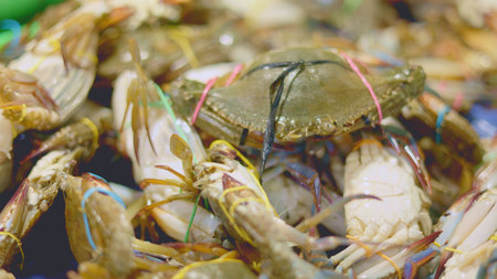 Dynamic marketplace showcasing wide variety of newly caught shellfish and fish species, Energetic seafood bazaar featuring assortment of vividly colored and freshly harvested marine creaturesの写真素材