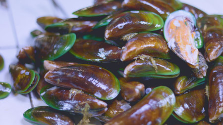 Closeup of moist shell surfaces, Detailed view capturing moistness and hues of farmed mollusks,...