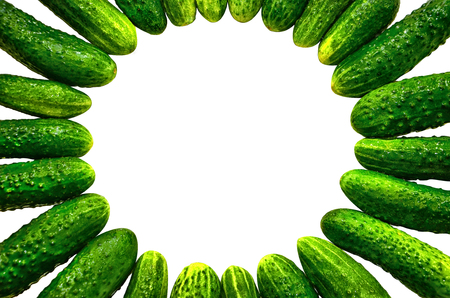 Green cucumbers. A circle of cucumbers. Cucumber mix.の写真素材
