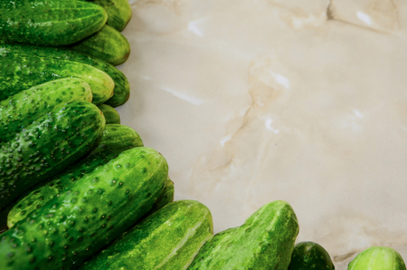 A pile of green cucumbers stacked in rows on the table. Preparation for blockage after the summer.の写真素材