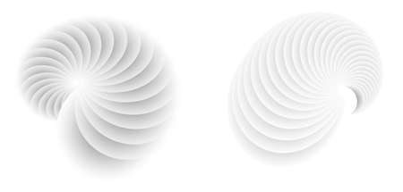 Abstract spiral tor design element on white background of twist lines. Vector Illustration eps 10 for icon beauty salon, for elegant business card, background event party flyer, sea team, ocean shellのイラスト素材
