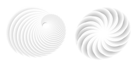 Abstract spiral tor design element on white background of twist lines. Vector Illustration eps 10 for icon beauty salon, for elegant business card, background event party flyer, sea team, ocean shellのイラスト素材