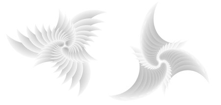 Abstract spiral tor design element on white background of twist lines. Vector Illustration eps 10 for icon beauty salon, for elegant business card, background event party flyer, sea team, ocean shellのイラスト素材