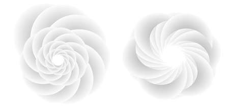 Abstract spiral tor design element on white background of twist lines. Vector Illustration eps 10 for icon beauty salon, for elegant business card, background event party flyer, sea team, ocean shellのイラスト素材