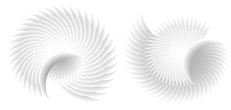 Abstract spiral tor design element on white background of twist lines. Vector Illustration eps 10 for icon beauty salon, for elegant business card, background event party flyer, sea team, ocean shellのイラスト素材