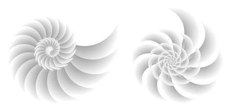Abstract spiral tor design element on white background of twist lines. Vector Illustration eps 10 for icon beauty salon, for elegant business card, background event party flyer, sea team, ocean shellのイラスト素材