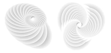 Abstract spiral tor design element on white background of twist lines. Vector Illustration eps 10 for icon beauty salon, for elegant business card, background event party flyer, sea team, ocean shellのイラスト素材