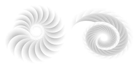 Abstract spiral tor design element on white background of twist lines. Vector Illustration eps 10 for icon beauty salon, for elegant business card, background event party flyer, sea team, ocean shellのイラスト素材