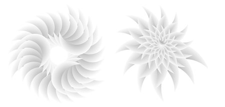 Abstract spiral tor design element on white background of twist lines. Vector Illustration eps 10 for icon beauty salon, for elegant business card, background event party flyer, sea team, ocean shellのイラスト素材