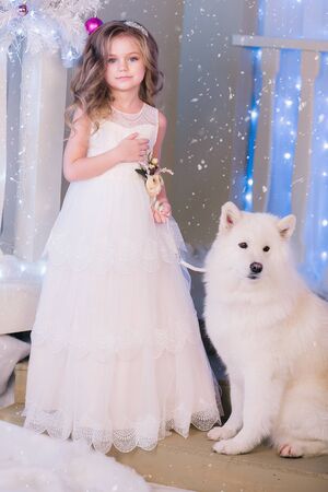 Nice girl in a white dress and with a white dog in the studio in Christmas decorationsの写真素材