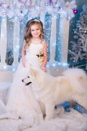 Nice girl in a white dress and with a white dog in the studio in the New Year decorations against the background of the Christmas treeの写真素材