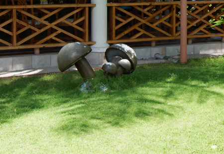 Tropical gardenの写真素材