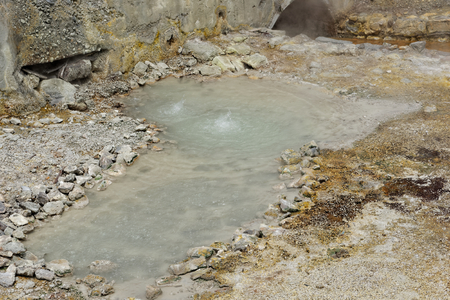 Geothermal hot water in Furnas on the island of Sao Miguelのeditorial素材