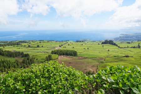 Landscape with cows, Sao Miguel, The Azores Islands, Portugalの写真素材