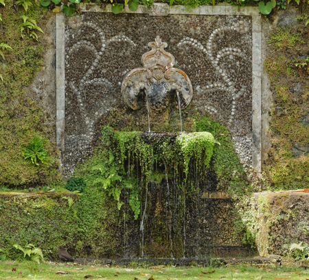 Beautiful botanic garden of Furnasの写真素材