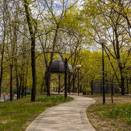 A path in the park among the trees leading to a beautiful gazeboの写真素材