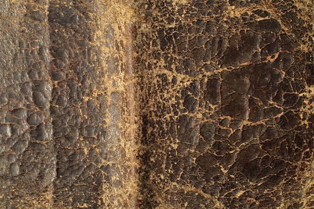 Natural leather texture backgroundの写真素材