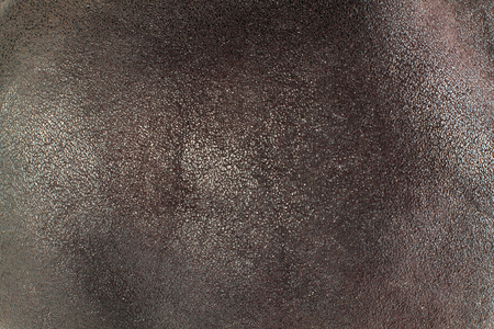 Natural leather texture backgroundの写真素材