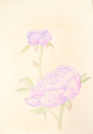 Abstract design colorful watercolor stains picture painting illustration background Colorful aquarelle wash drawing design wallpaper hand painted watercolor brush strokes paintedの写真素材