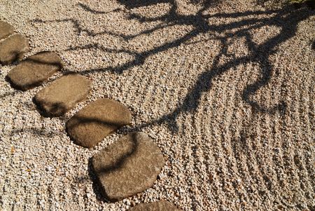 scenic tree shadow in Japanese zen gardenの写真素材