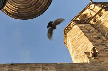fragment of medieval Barcelona Cathedral Church with flying pigeon; focus on building wallの写真素材