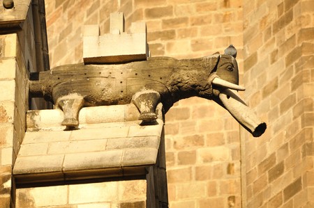 decoration figure of elephant on the medieval Barcelona Cathedral Church wall in Barcelona, Spainの写真素材