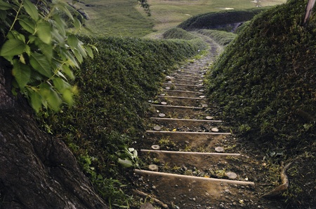 wooden steps in Japanese garden go down between green bushes by night time