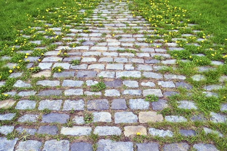scenic cobblestone road with green grass and dandelion sprouts by springtimeの写真素材