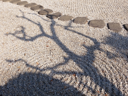  scenic tree shadow in Japanese zen garden and stone pathwayの写真素材