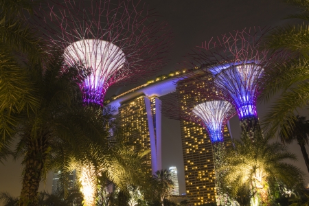 scenic arctificial trees by night at the famous Gardens by the bay park in Singaporeのeditorial素材
