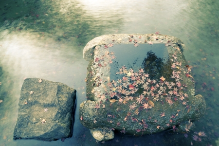 red maple tree leafs lay over water in stone draw- well in Japanese zen pondの写真素材