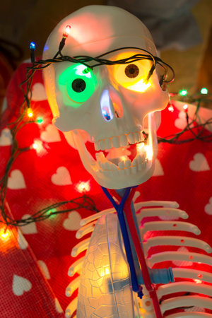 plastic skeleton fragment illuminated for Halloween holiday celebration の写真素材