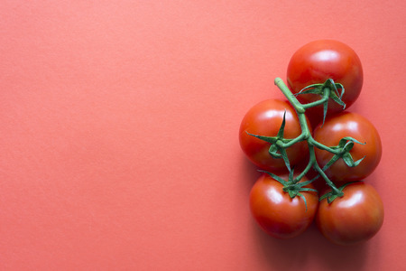 fresh juicy tomatoes branch over red background
の写真素材