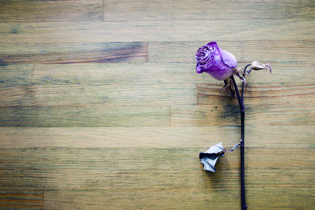 single dried rose on the vintage wooden table topの写真素材