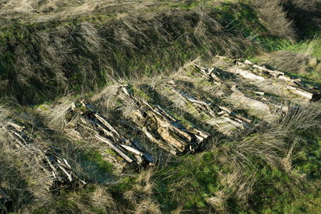 ancient wooden railway sleepers covered by thick grass
