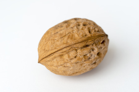 single walnut isolated on white backgroundの写真素材