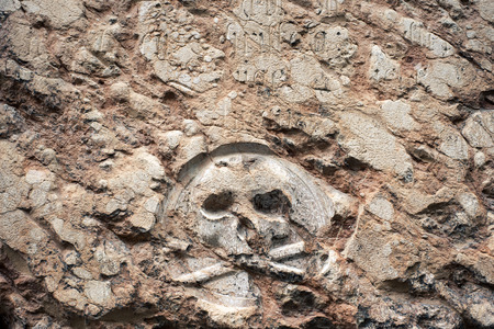 ancient scull relief on the medieval wall of German churchの写真素材