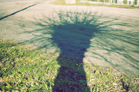 huge spooky tree shadow on the country roadの写真素材