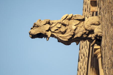 detailed lion head frieze on the wall of Barcelona Cathedralの写真素材