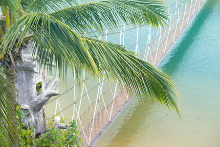 tropical sea resort scenery with palm tree on foregroundの写真素材