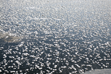 river surface covered by ice with many snow heaps piled by windの写真素材