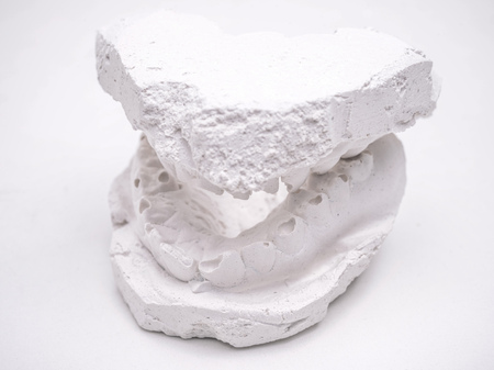 whole dentist gypsum impression of human jaw isolated on white backgroundの写真素材