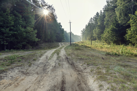 scenic forest landscape with country road by summer morningの写真素材